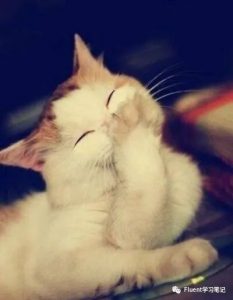 二十二、动网格Smoothing Spring方法及实例-卡核