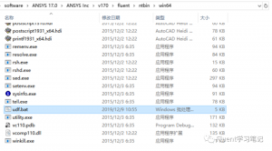 十.Fluent环境变量的配置-卡核